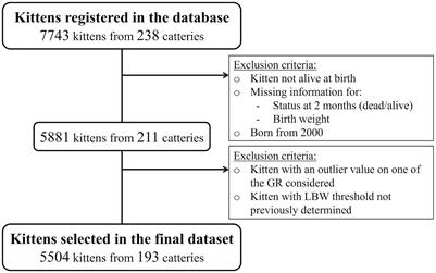 Impact of compensatory growth on survival in newborn kittens